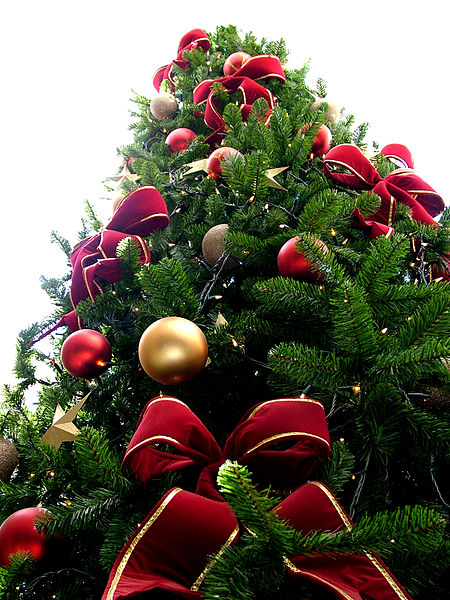 450px Christmas tree sxc hu